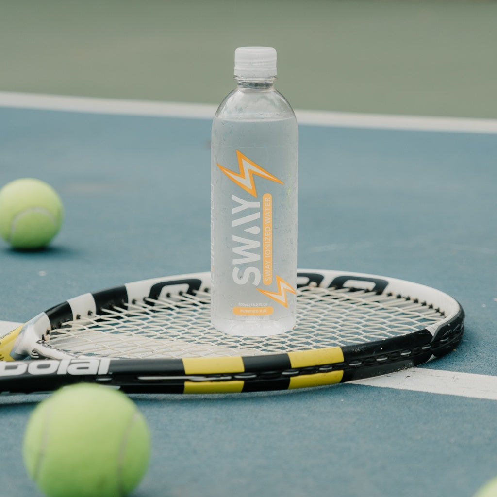 Sway Ionized Bottle (20 pack 500mL Bottle)